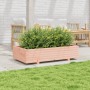 Fioriera da Giardino 110x60x26,5 cm Legno Massello di Douglas