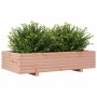 Fioriera da Giardino 110x60x26,5 cm Legno Massello di Douglas