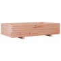 Fioriera da Giardino 110x60x26,5 cm Legno Massello di Douglas