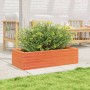 Fioriera Giardino Marrone Cera 90x40x23 cm Legno Massello Pino