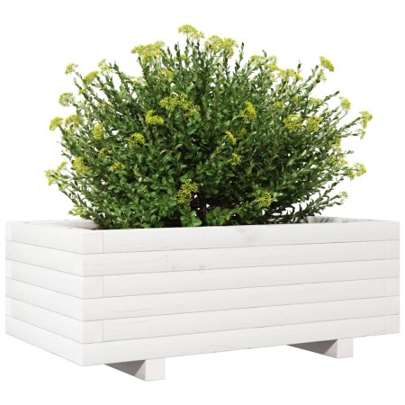 Fioriera da Giardino Bianca 70x40x26,5cm Legno Massello di Pino