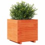 Fioriera Giardino Marrone Cera 50x50x49,5cm Legno Massello Pino