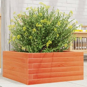 Fioriera Giardino Marrone Cera 50x50x23 cm Legno Massello Pino