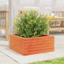 Fioriera Giardino Marrone Cera 50x50x23 cm Legno Massello Pino