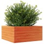 Fioriera Giardino Marrone Cera 50x50x23 cm Legno Massello Pino