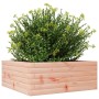 Fioriera da Giardino 60x60x23 cm in Legno Massello di Douglas