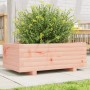 Fioriera da Giardino 70x40x26,5 cm in Legno Massello di Douglas