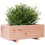 Fioriera da Giardino 70x40x26,5 cm in Legno Massello di Douglas