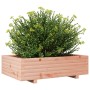 Fioriera da Giardino 90x60x26,5 cm in Legno Massello di Douglas