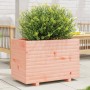 Fioriera da Giardino 70x40x49,5 cm in Legno Massello di Douglas