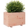 Fioriera da Giardino 70x40x49,5 cm in Legno Massello di Douglas