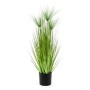 Emerald Cipero Artificiale Haspan 75 cm in Vaso