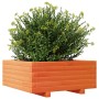 Fioriera Giardino Marrone Cera 60x60x26,5cm Legno Massello Pino