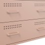 Credenza Rosa 68x39x89 cm in Acciaio