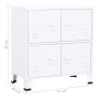 Armadio Classificatore Industriale Bianco 75x40x80 cm Acciaio