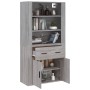 Credenza Grigio Sonoma in Legno Multistrato