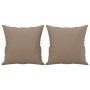 Set di Divani 2 pz con Cuscini Cappuccino in Similpelle
