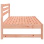 Divani Centrali Giardino 2pz 120x80cm Legno Massello Douglas