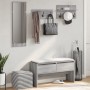 Set di Mobili da Ingresso 4 pz Grigio Sonoma Legno Multistrato