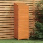 Capanno da Giardino Marrone 55x52x174,5 cm Legno Massello Abete