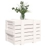 Contenitore Portaoggetti Bianco 58x40,5x42 cm Massello di Pino