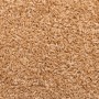 Tappetini per Scale 15 pz 65x21x4 cm Beige