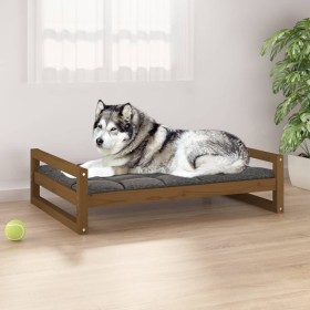 Cuccia per Cani Miele 105,5x75,5x28cm in Legno Massello di Pino