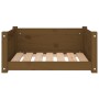 Cuccia per Cani Miele 65,5x50,5x28cm in Legno Massello di Pino
