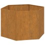 Fioriera Ruggine 60x60x45 cm Acciaio Corten