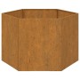 Fioriera Ruggine 60x60x45 cm Acciaio Corten