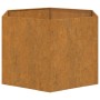 Fioriera Ruggine 60x60x45 cm Acciaio Corten