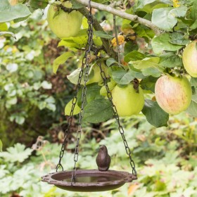 HI Bagnetto per Volatili 20,5 cm Marrone