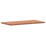 Piano Tavolo 100x50x2,5cm Rettangolare Legno Massello di Faggio