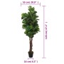 Albero Ficus Lyrata 134 Foglie 120 cm Verde