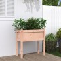 Fioriera Giardino con Gambe 70x31x70 cm Legno Massello Douglas