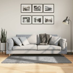 Tappeto Shaggy PAMPLONA a Pelo Lungo Moderno Grigio 80x150 cm