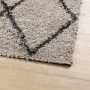 Tappeto Shaggy PAMPLONA Pelo Lungo Beige e Antracite 140x200cm