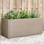 Fioriera da Giardino Marrone Chiaro 80x36x35 cm in PP