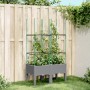 Fioriera da Giardino con Graticcio Grigio 80x40x142,5cm PP