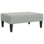 Set di Divani 2 pz con Cuscini Grigio Chiaro in Velluto
