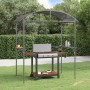 Gazebo Barbecue Ripiani Laterali Antracite 220x115x230 Acciaio