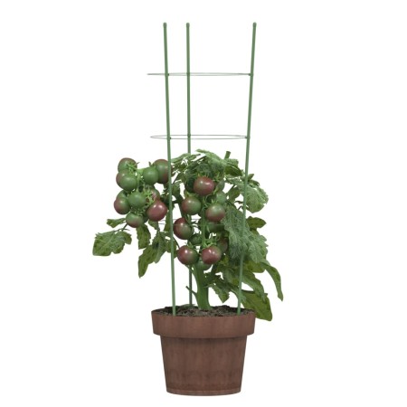 Supporti Piante da Giardino con 3 Anelli 5pz Verde 60cm Acciaio