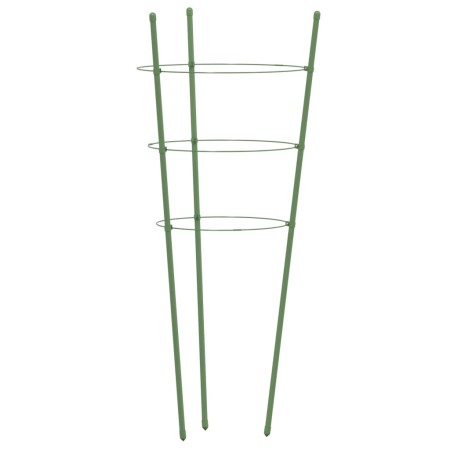 Supporti Piante da Giardino con 3 Anelli 5pz Verde 60cm Acciaio