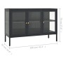 Credenza Antracite 105x35x70 cm in Acciaio e Vetro