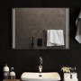 Specchio da Bagno con Luci LED 70x50 cm