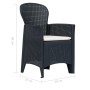 Set Pranzo da Giardino 5 pz in Plastica Antracite Stile Rattan