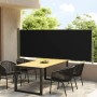 Tenda Laterale Retrattile per Patio 117x300 cm Nera