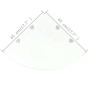 Scaffali Angolari 2 pz Supporti Cromati e Vetro Chiaro 45x45 cm