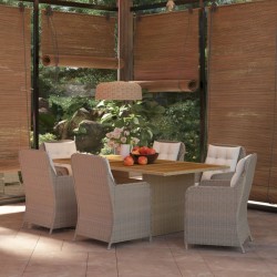 Set da Pranzo da Giardino 7 pz in Polyrattan Marrone