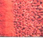Tappetino da Cucina Lavabile Spezie 45x150 cm